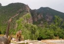 硅化木國家地質公園