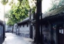 千竿胡同