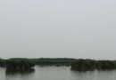 黃草灣郊野公園
