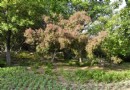 東升文體公園