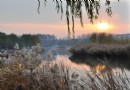 妫河森林公園