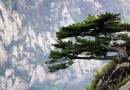 東極仙谷自然風景區