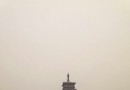 榆樹莊公園