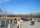 將府公園