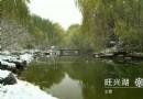 旺興湖郊野公園