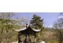 櫻桃溝