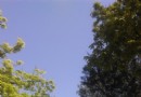 會城門公園