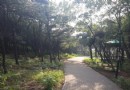 老山城市休閒公園