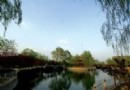 東壩郊野公園