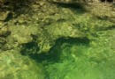 興隆公園