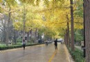 北京林業大學