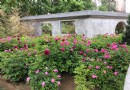 豐台花園
