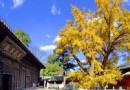 大覺寺