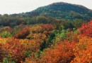 百望山森林公園