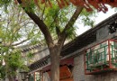 八大胡同