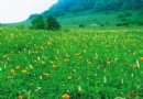 房山百花山景區