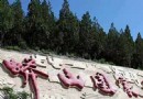 蟒山國家森林公園