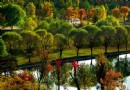 奧林匹克森林公園