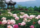北京植物園