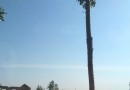 風湖公園