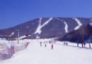 毛家峪印象滑雪聖地