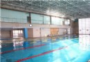 飛魚體育俱樂部