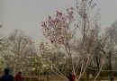 長虹生態園