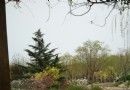 河東公園