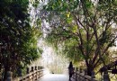 天原公園