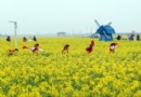 花米莊行