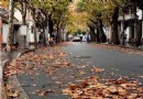 余慶路