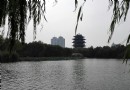 泾東公園