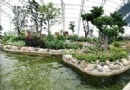 上海浦江源溫泉農莊