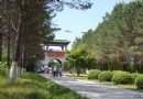 松鶴公園