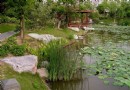 莘城中央公園
