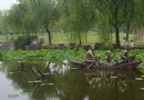 泗泾公園