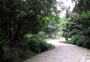 復興島公園