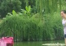 紫薇公園