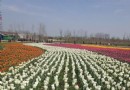 張衡公園