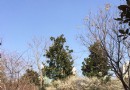 江浦公園