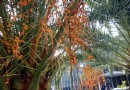 廣蘭公園