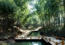 九曲橋