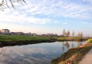 崇明島國家地質公園