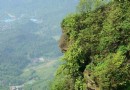 玉龍山