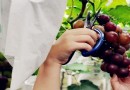 李花生態旅游區
