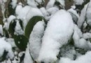 雅美佳濕地公園