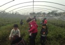 卓潤生態園