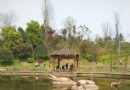 璧山濕地公園