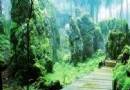 摩圍山風景區