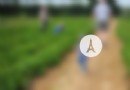 黑番區生態體驗園